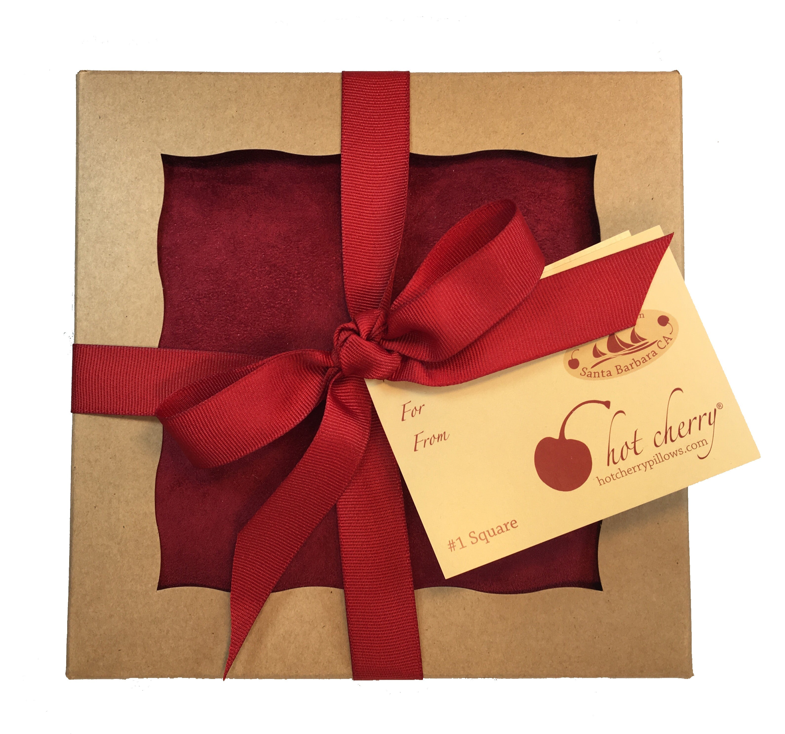 Hot Cherry Square Pillow in Plush Red Ultra-Suede-0