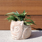 Terracotta Pot - Horned Owl-4