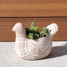 Terracotta Pot - Spotted Dove-3
