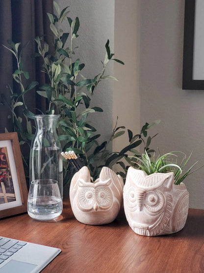 Terracotta Pot - Horned Owl - Home Decor