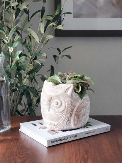 Terracotta Pot - Horned Owl - Home Decor